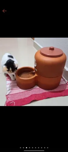 Fonte filtro de barro para gato