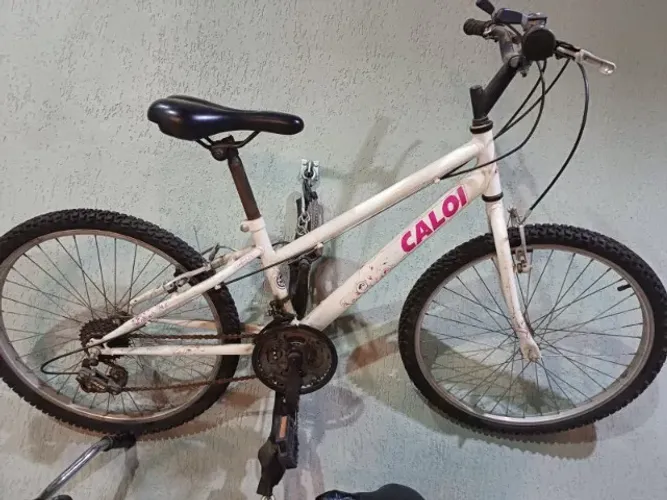Bicicleta Aro 24