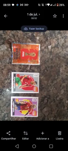 Figurinhas raras e comuns da copa