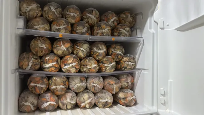 Vende Sururu R$30 pacote buscar no local 25