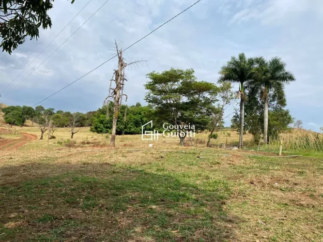 Chácara de 2 Alqueires com Água, Energia e Ótima Localização, apenas 2 km de chão