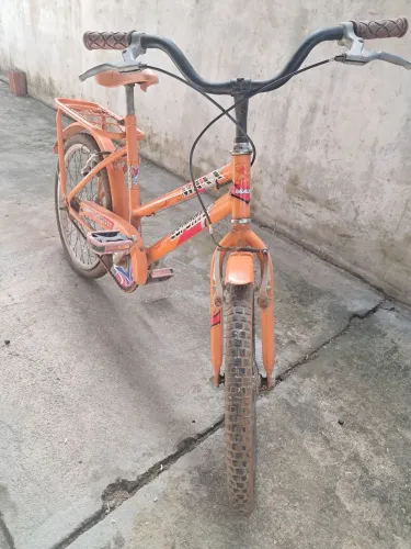 Bicicleta Maxx Esporte Aro 20
