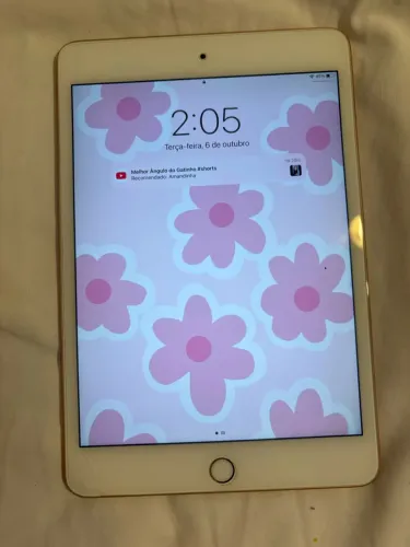 IPad 5th mini
