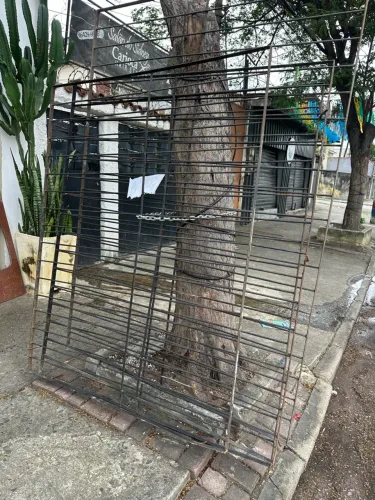 Quatro grades de ferro R$ 150,00 cada 160x170