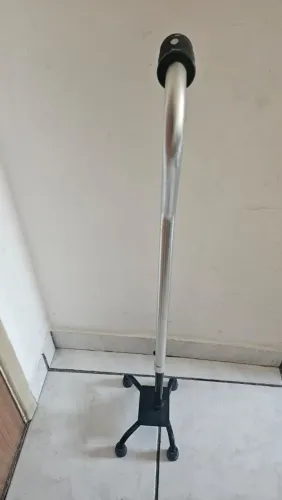 Bengala 4 pés