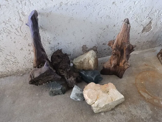 Raiz de aroeira e rochas