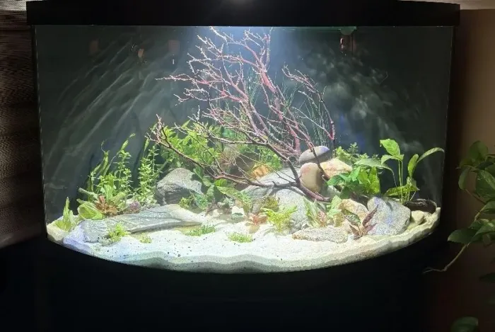 AQUARIO CURVO 10MM ,365 LITROS APROXIMADAMENTE, DE CANTO, FILTRAGEM NA TAMPA