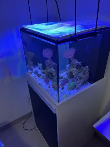 Aquário marinho 112litros com móvel 