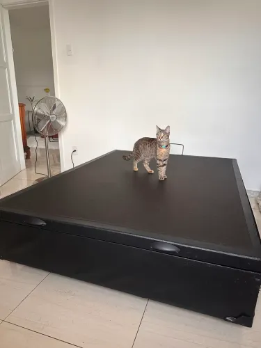 Cama box casal com baú