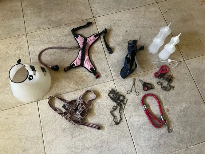 Kit de acessórios para banho e tosa - pet shop