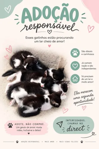 Adoção responsável!!!