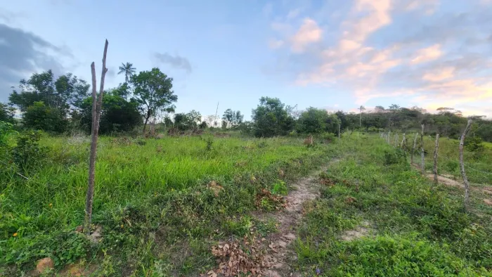 Vendo terrenos próximos a santo Amaro