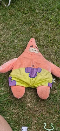 Pelucia do Patrick Estrela da marca Nickelodeon ou similar, desenho Bob Esponja