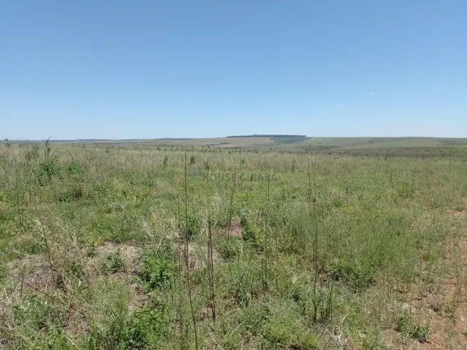 Área de terra de 1.132 hectares no Município de Cristalina