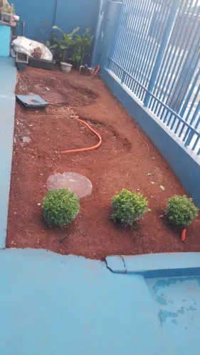 Manutencao e implantacso de jardim