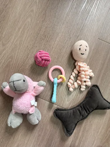 Kit brinquedos cachorro