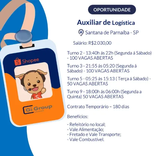 Auxiliar de Logística - Santana de Parnaíba