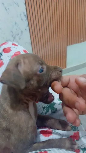 Disponível 300,00