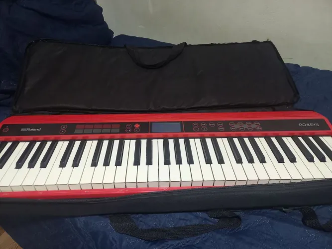 Roland Go Keys