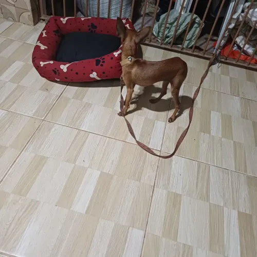 As informações está tudo nas fotos