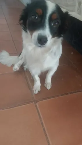 Doação