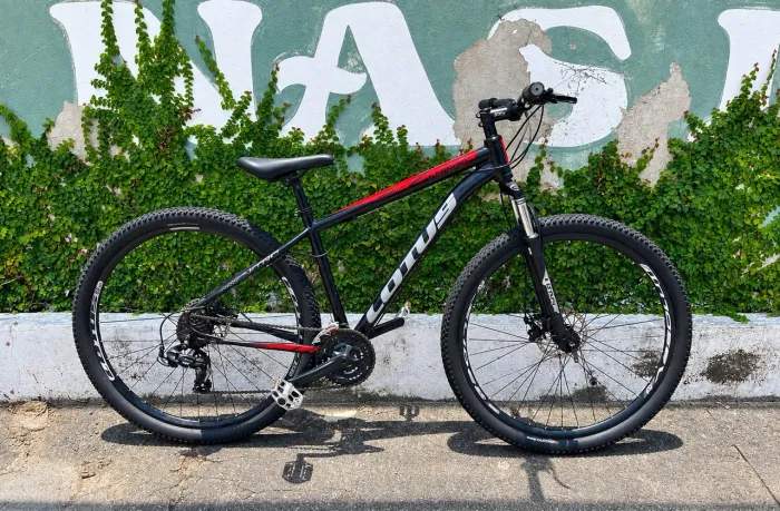 Bike aro 29