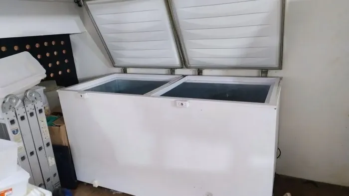 Freezer horizontal