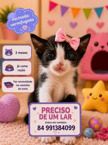 Doação de belas meninas 