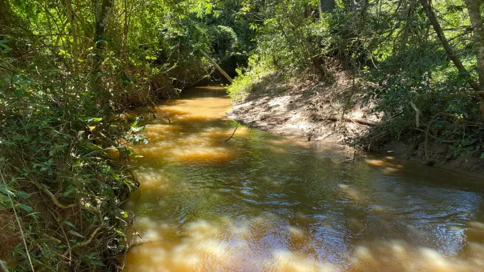 Chácara de 2.100mt em Cristianopolis com córrego no fundo ultima unidade!