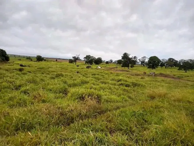 Excelente oportunidade para pecuária e agricultura.