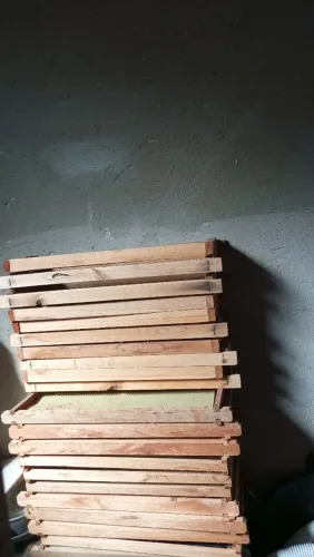 Apiário Completo.