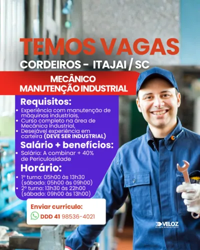 MECANICO INDUSTRIAL 