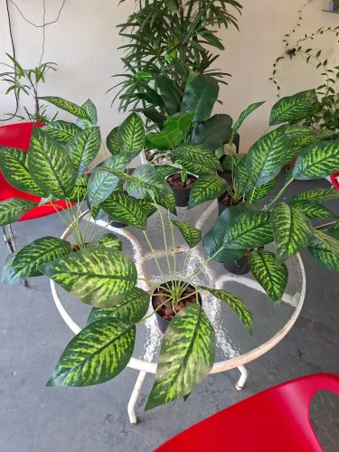 5 vasos de plantas artificiais já prontos pra decorar ! 