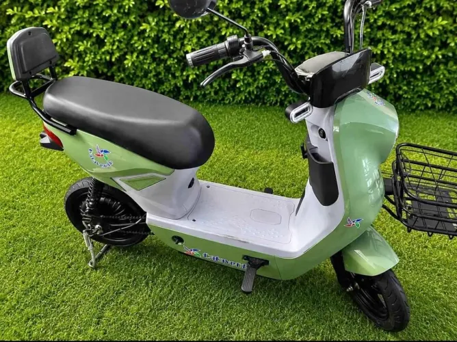 Scooter elétrica 1000W