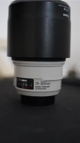 Canon EF 70-300 IS USM f/4-5.6L