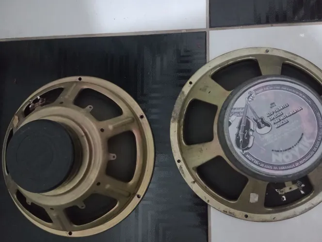 2 alto falantes de 12"