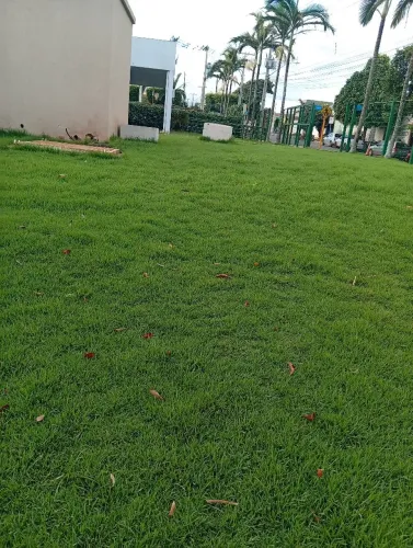 Grama de ótima qualidade,entregamos e plantamos deixamos seu terreno perfeito todo gramado