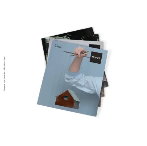 LP O Terno - O Terno (Noize Record Club)