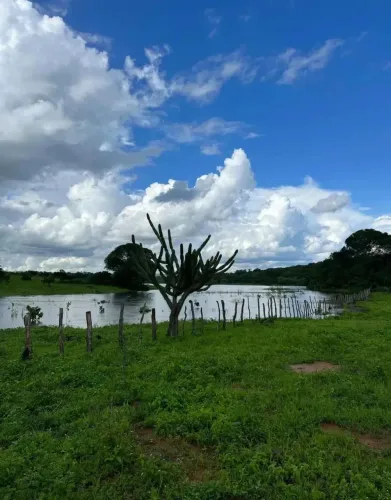 **URGENTE: 700 HECTARES EM PEDRA LAVRADA - MINERAÇÃO + PECUÁRIA! R$ 4M - NÃO PERCA!**
