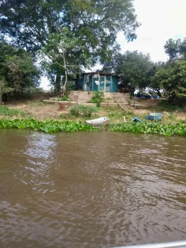 VENDO UMA ILHA NO PANTANAL OU UMA PARTE DELA