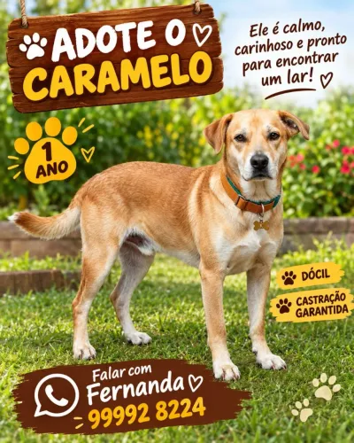 CARAMELO