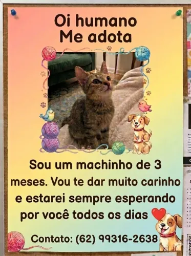 Adoção