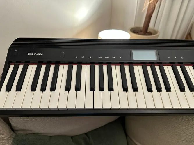 Roland Go Piano