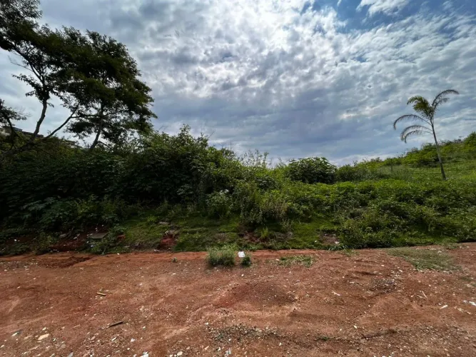 Lote / Terreno - Grama