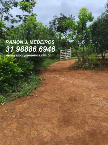 Vendo FAZENDINHA 33.000m² casa 2qts, gado, poço artesiano, riacho ANDREQUICÉ - 3 MARIAS M