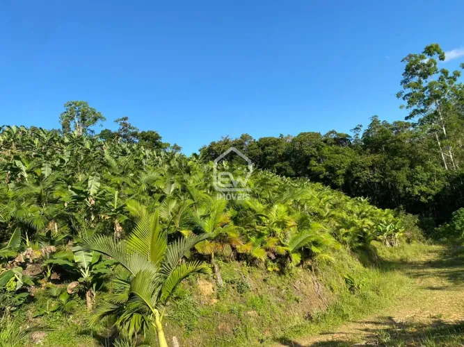 Sítio com Área Total de 101.850m² em Massaranduba, SC