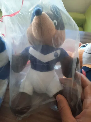 Urso do cruzeiro