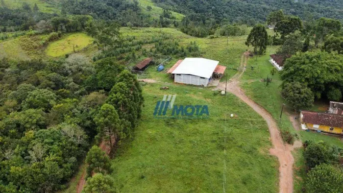 Fazenda a venda Campo largo 76 hectares, com casa sede, barracão 250m2, formada em pastage