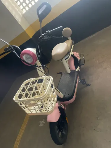 Moto elétrica Gts 500 watts