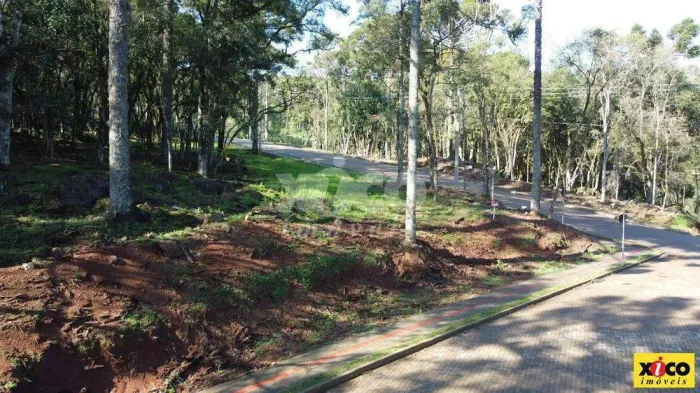 TERRENO PARA VENDA EM NOVA PETRÓPOLIS / RS NO BAIRRO LINHA IMPERIAL